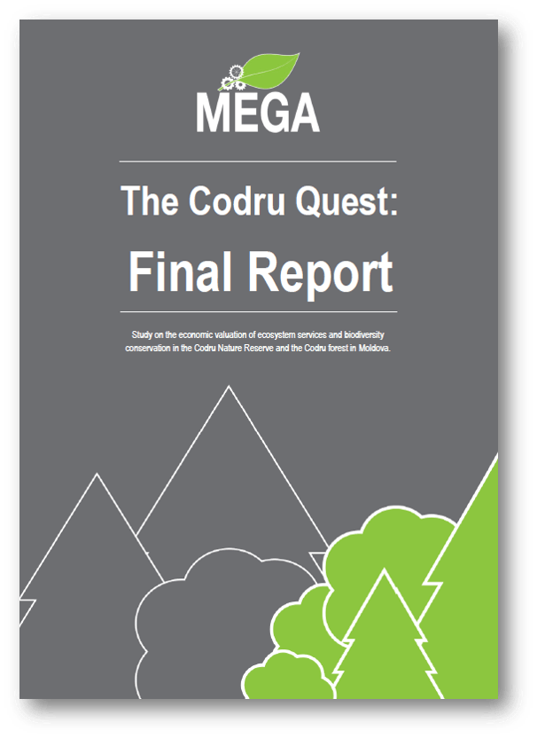 Publications: The Codru Quest Final Report
