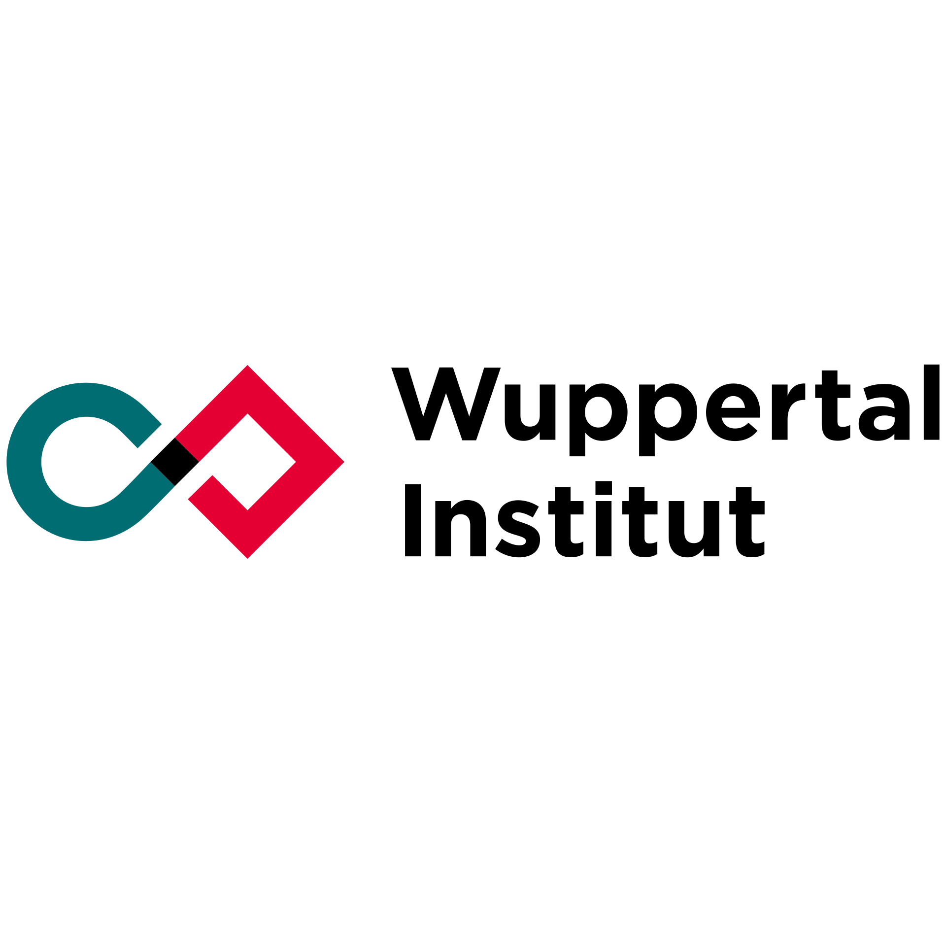 Wuppertal Institute Logo