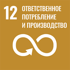 UN SDG 12: Responsible Consumption and Production