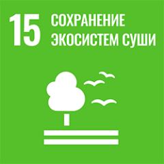 UN SDG 15: Life on Land