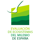 Ecomilenio España Logo