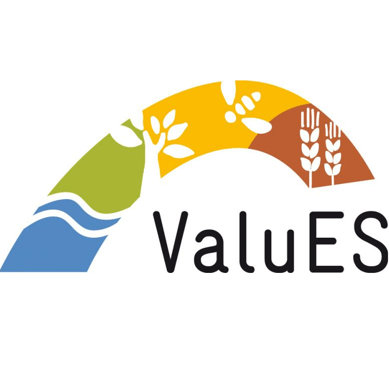 ValuES Logo